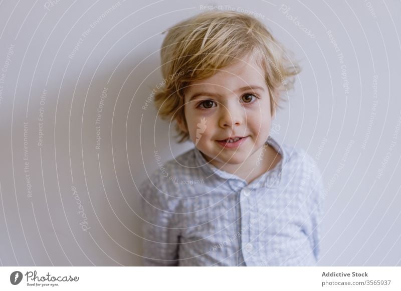 Little boy smiling in studio smile little child adorable content cute kid childhood cheerful positive casual face expression happy stand lean wall glad style