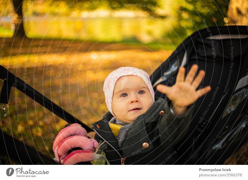 One year old cute baby girl in black strolly amazed to see colorful autumn leaves. Reaching hand out to touch child expression park fall nature mother emotions