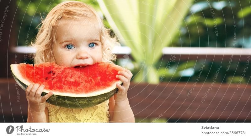 Little blonde girl eating a juicy watermelon in the garden. Children eat fruit on the street. Healthy food for children. Toddler gardening. red healthy slice