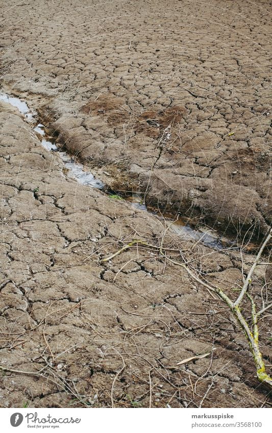 dried up pond Pond parched Dry Drought drought Earth Ground humus rich Agriculture agricultural area