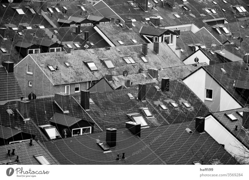 above the roofs Roof rooftop landscape Roofing tile Chimney Eaves Gable Skylight Attic story Roof ridge Roof beams Roof terrace Oriel window