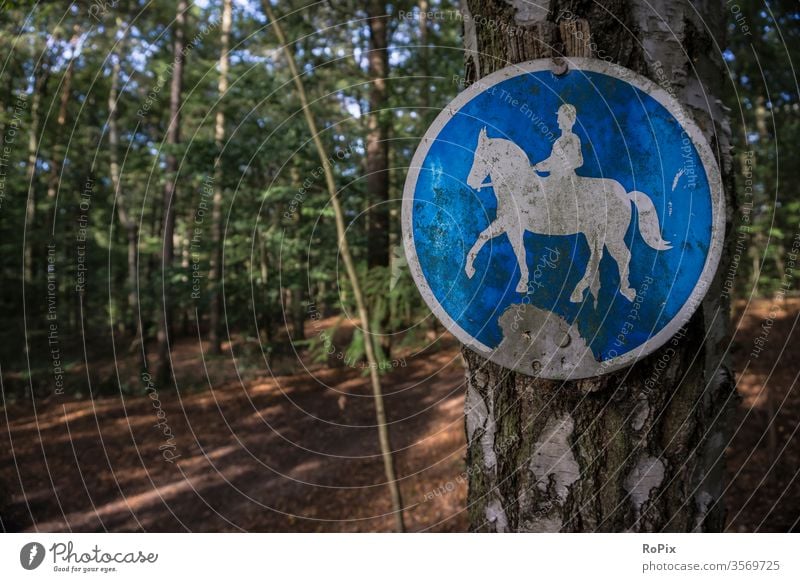 Horse trail in the Lüneburg Heath. Heathland Landscape Luneburg off path horse Ride Rider riding Nature Autumn Winter Season Weather landscape sign