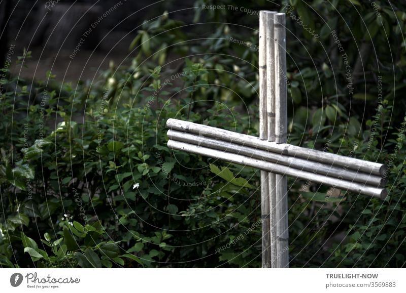 An unusually simple wooden cross made of light bamboo sticks, accurately joined together, stands as a striking religious symbol on a grave, surrounded by dense dark green plants