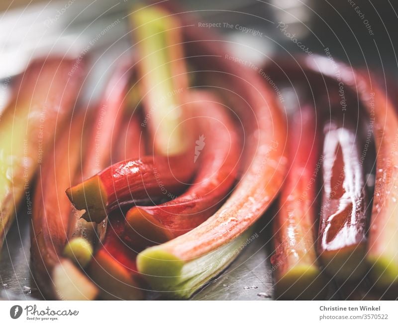 wet shining rhubarb sticks lying side by side, close-up with shallow depth of field Rhubarb Rhubarb Rods Fresh Healthy Eating Nutrition Vegetarian diet Vitamin