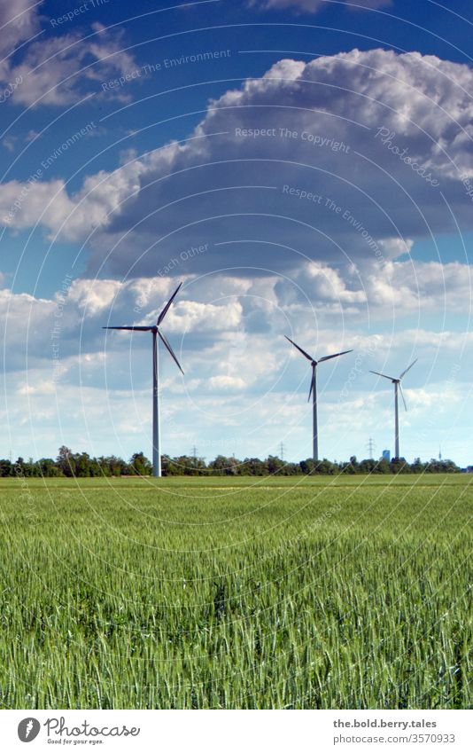 Wind turbines and wheat field Pinwheel windmills wind power Wheatfield Energy Renewable energy Energy industry Colour photo Exterior shot Deserted