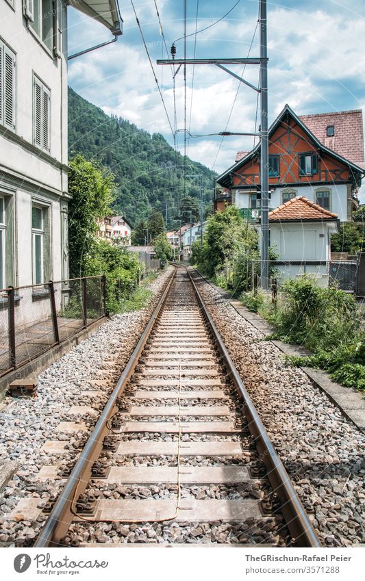 View of a house and train tracks Interlaken Switzerland Tourism tree Exterior shot Colour photo Deserted Day Trip Summer tourist region Train Railroad tracks