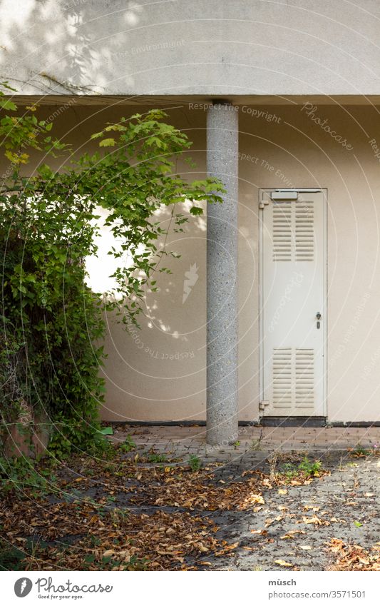 Column at the entrance door Metal tree leaves green Yellow Pink White Air Slots prop Joist foliage Limp Courtyard Wall (building) rear entrance Fire prevention