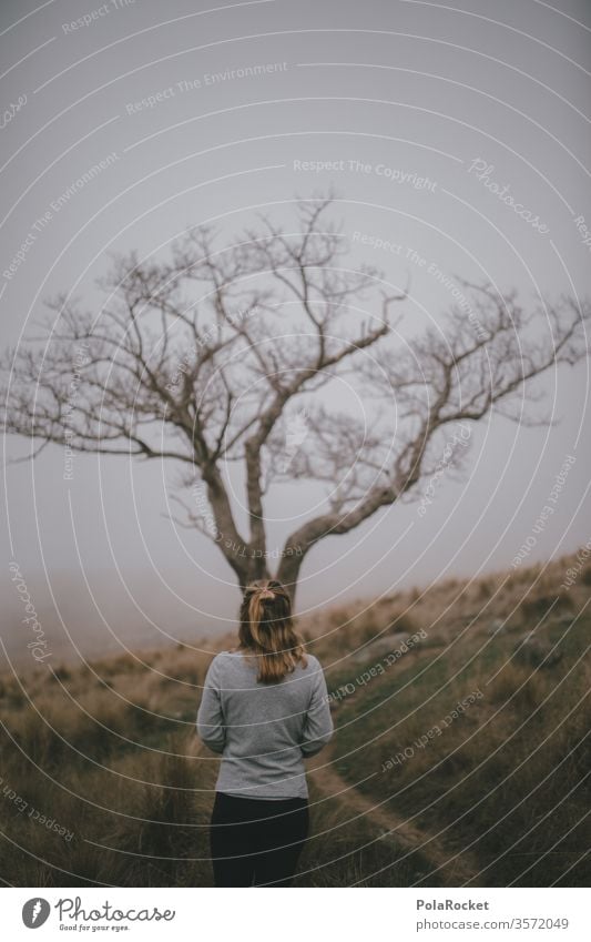 #As# Grey Day Mystic Landscape Nature Exterior shot Colour photo Lanes & trails New Zealand Landscape explore strolling go for a walk take a walk Walking tree