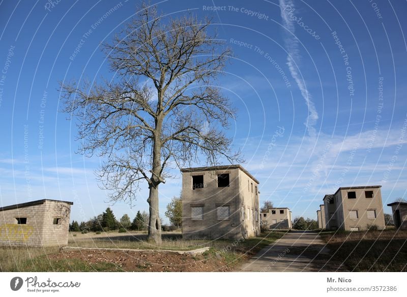 the dead village built House (Residential Structure) Village tree Architecture Ghost town Loneliness Derelict Uninhabited Homeless Escape Small Town Lonely