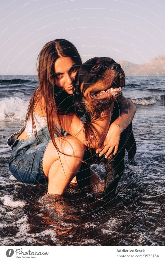 Cheerful young female with black Rottweiler on seashore during weekend woman dog beach coast together friend owner stroll crouched down wave excited purebred