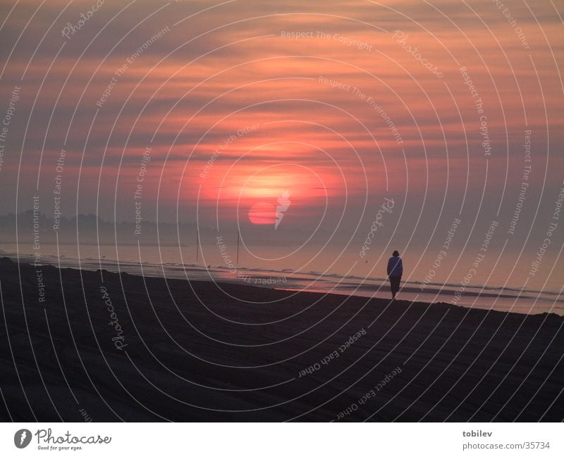 Sunrise at the sea Beach Ocean Loneliness Sunset Morning Clouds Dark Stairs Sand Dawn Bright Beach dune