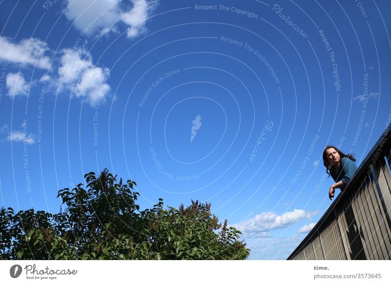 annika bridge Woman Stand tree Sky sunny Clouds Beautiful weather Observe see look rest recover Curiosity Shirt pile-lander Long-haired