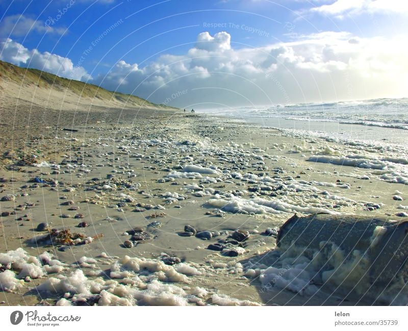 Beach Denmark 01 Trash Foam Clouds Beach dune Sky