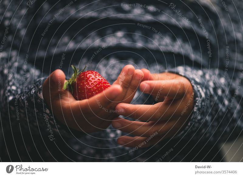 my strawberry girl Child Strawberry To hold on Red Juicy Delicious fruit Healthy Eating salubriously Nutrition Food Fruity Harvest Colour photo Fresh