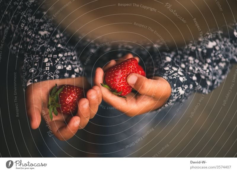 little child holds two strawberries in his hands girl Child Strawberry To hold on Red Juicy Delicious fruit Healthy Eating salubriously Nutrition Food Fruity