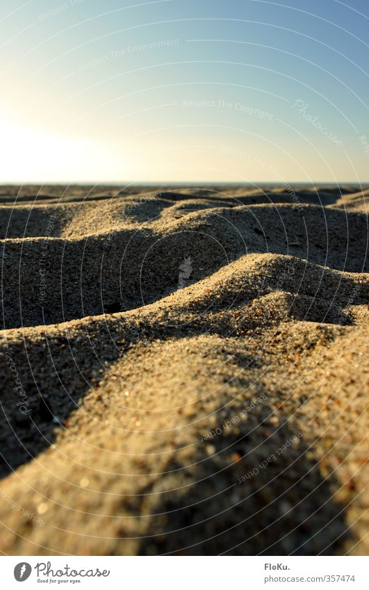 Mini Dunes Vacation & Travel Trip Far-off places Summer Summer vacation Sun Beach Environment Nature Landscape Earth Cloudless sky Sunlight Beautiful weather