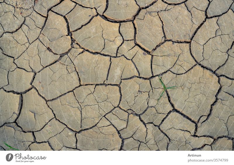 Climate change and drought land. Water crisis. Arid climate. Crack soil. Global warming. Environment problem. Nature disaster. Dry soil texture background. Dry and cracked skin need moisture concept.