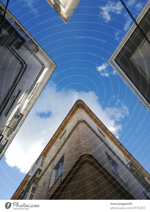 change of perspective Sky Sky blue Clouds Blue Summer Exterior shot Colour photo Beautiful weather Day Blue sky Worm's-eye view House (Residential Structure)