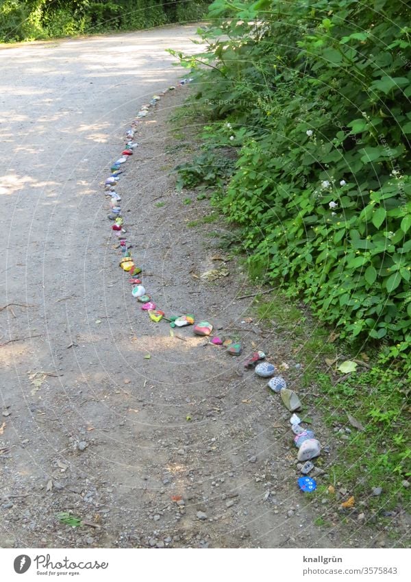 Stone snake meandering along a forest path Stone Snake Lucky Stones Creativity Art Leisure and hobbies Multicoloured Colour variegated Close-up Colour photo