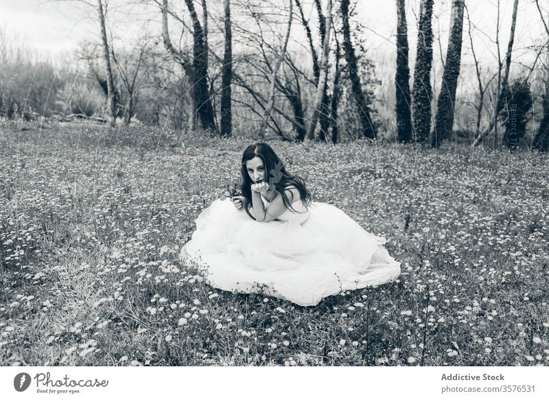 Content bride in blossoming meadow with yellow dandelions newlywed wedding wedding dress flower green wedding day female bloom gorgeous grass flower in hair