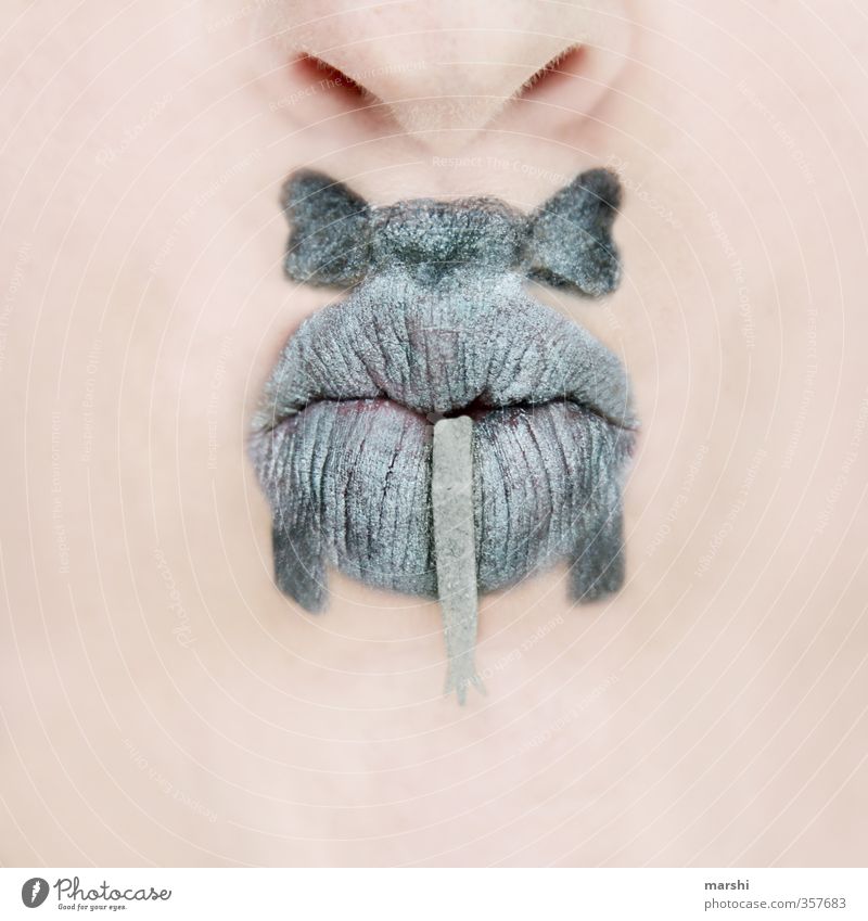 elephant bottom Human being Masculine Feminine Skin Face Mouth Lips Animal Wild animal 1 Gray Elephant Make-up Painted Hind quarters Ear Funny Idea