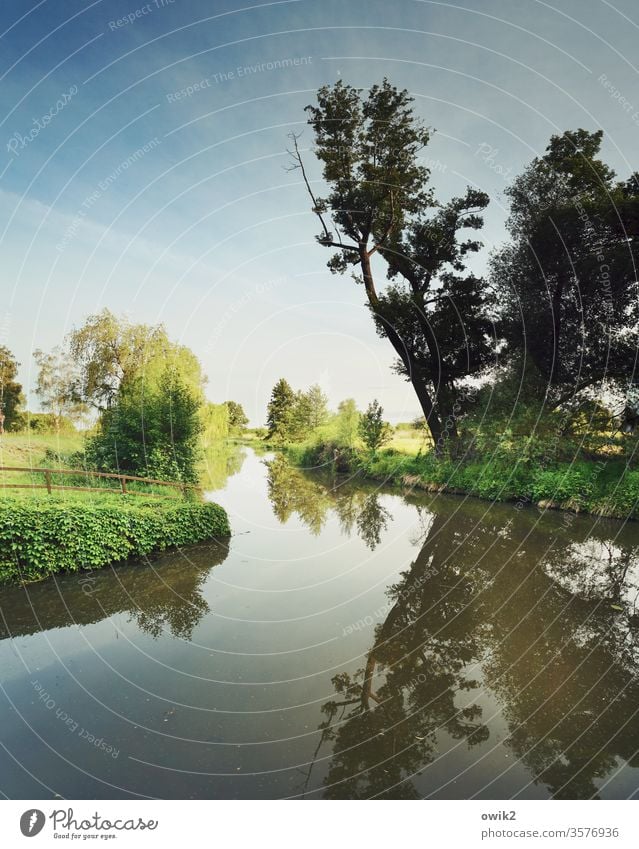 Channel course Tree Nature Landscape out Exterior shot Horizon Sky running waters fluid Calm windless Reflection Water reflection Far-off places Idyll Deserted