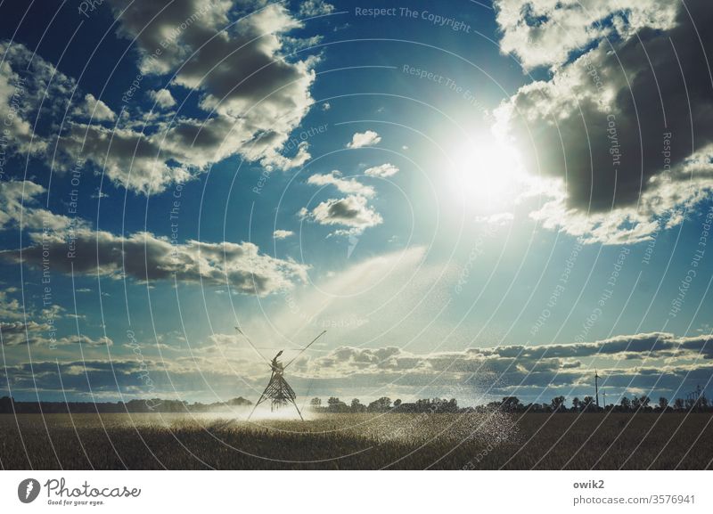 continuous irrigation Agriculture Field Grain Sky Clouds Horizon Water sprinkling Sprinkler system Landscape Harvest Wheat Plant Ear of corn Blue technique