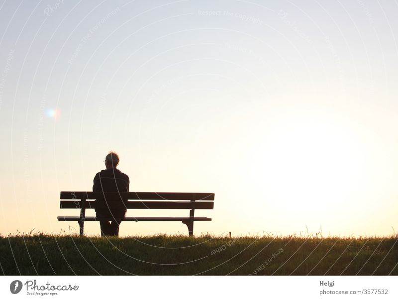 Silhouette of a senior citizen sitting on a bench in the evening sun and looking into the distance Man Senior citizen Bench Evening sun Sit Sunlight Back-light