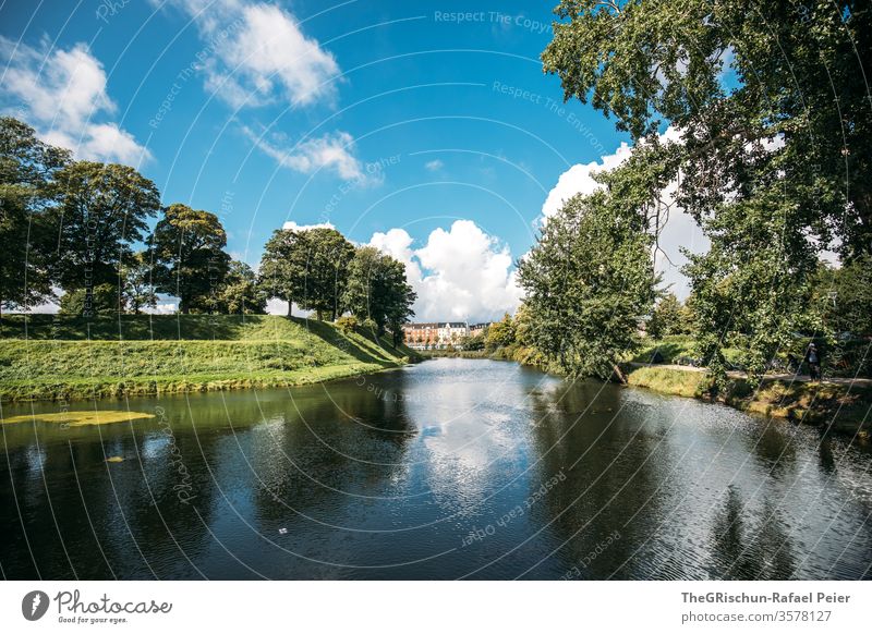 Park - trees at the waterfront Denmark Sky Clouds Water Copenhagen Trees in the lake green Summer Blue Exterior shot Wide angle Nature