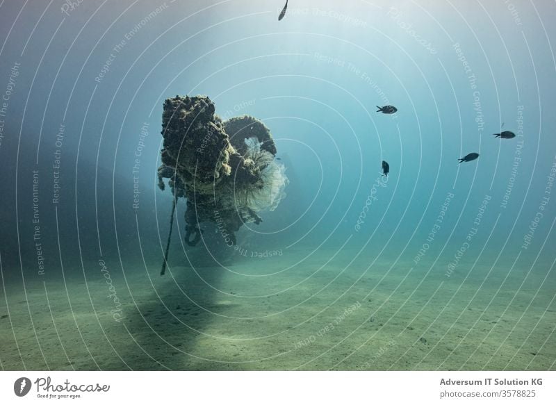 Plaster freighter off the coast of Calabria Underwater photo wreck diving Freediving Ocean Snorkeling Dive Vacation & Travel sea from below Sea water