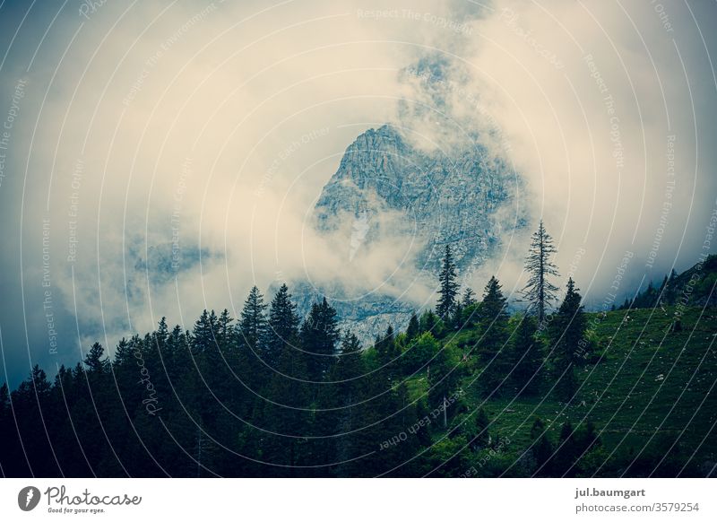 Morning fog in the mountains Mountain Forest Fog Vail Moody Mystic Clouds