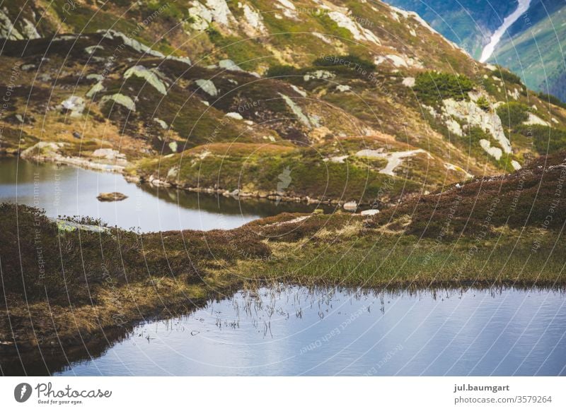 Mountain lake in silence Lake still water Water Nature tranquillity standstill green