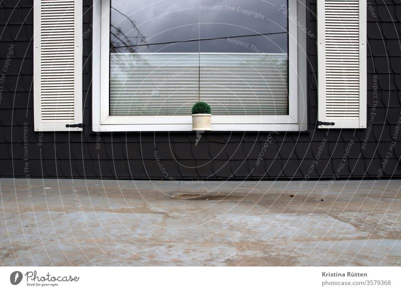 window with flowerpot above the canopy Window windowsill Flowerpot Plant slate facade slate cladding shutters Slate shale shingles Roller blind roller blind