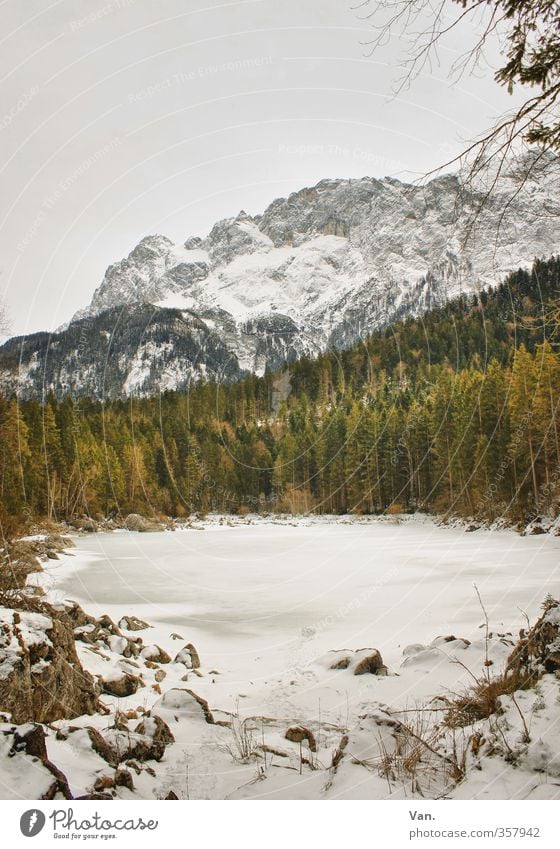 alpine white Mountain Hiking Nature Landscape Sky Clouds Winter Tree Forest Rock Alps Pond Cold Green White Frozen Ice Colour photo Subdued colour Exterior shot