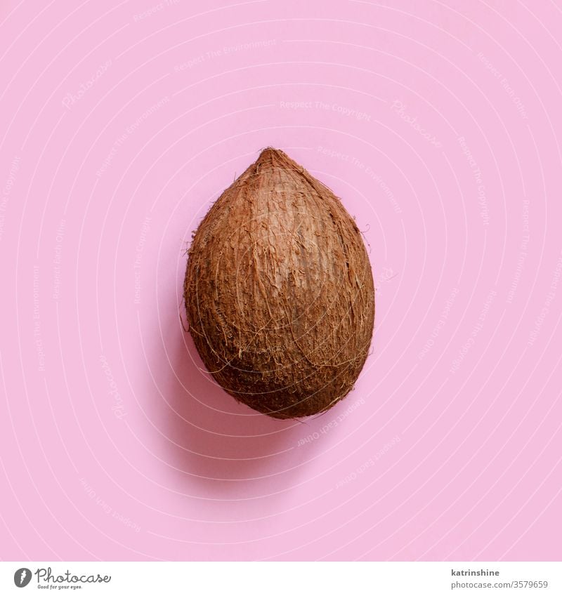 Whole coconut on a light pink background top view keto fruit pastel ingredient nutrition vegan vegetarian veggie white brown sweet healthy keto diet food piece