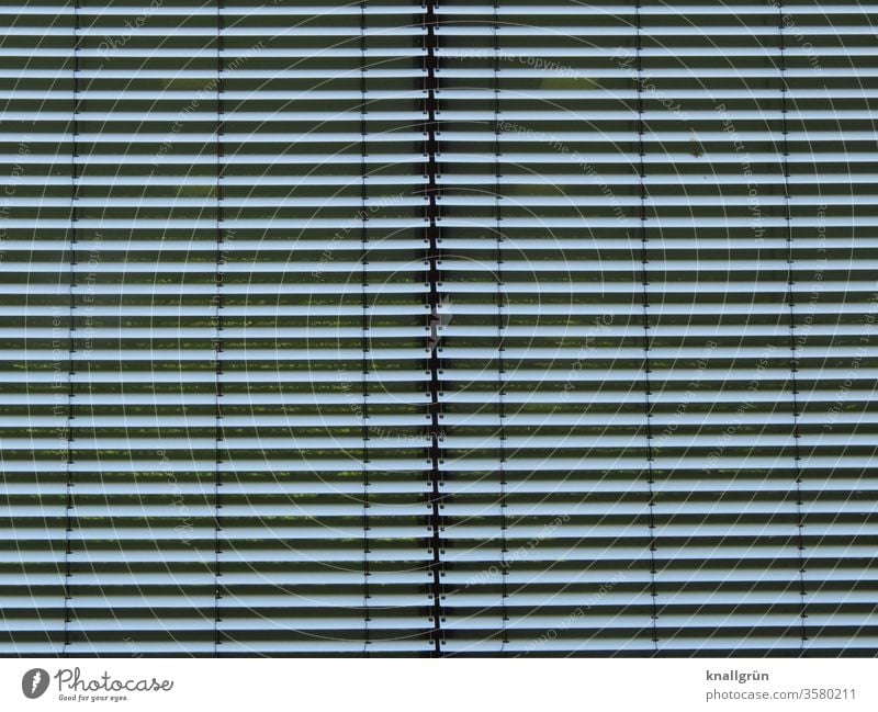 Two closed silver-coloured blinds next to each other Venetian blinds Screening Line Structures and shapes too Closed hide sb./sth. level Stripe Pattern