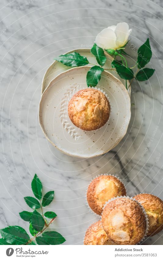 Delicious cupcakes in composition with bouquet of fragrant white flowers in vase on table food treat rose meal dessert pastry leaf fresh nutrition bloom