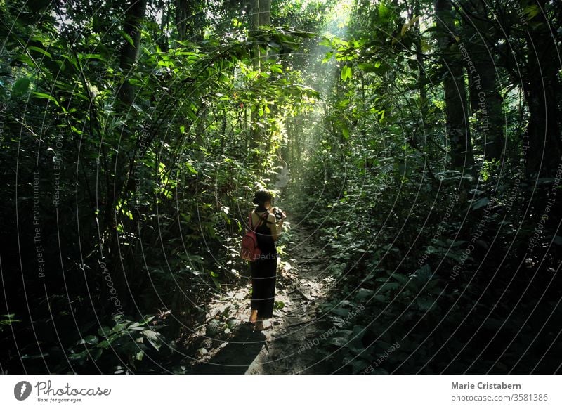 A healing walk to the heart of the forest in Cuc Phuong National Park Ninh Binh, Vietnam finding myself looking for peace a walk on the forest walking hiking