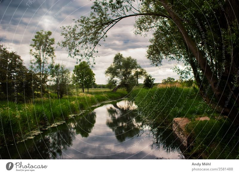 A Cloudy Sunday cloudy To go for a walk Forest evening mood Water River Nature Landscape Sky tree green Colour photo Exterior shot Clouds Brook Reflection Calm