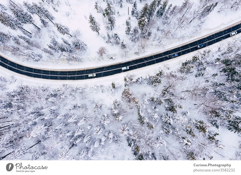 Curvy windy road in snow covered forest, top down aerial view. Winter landscape. winter drone above nature snowy white tree background season ice scenic cold