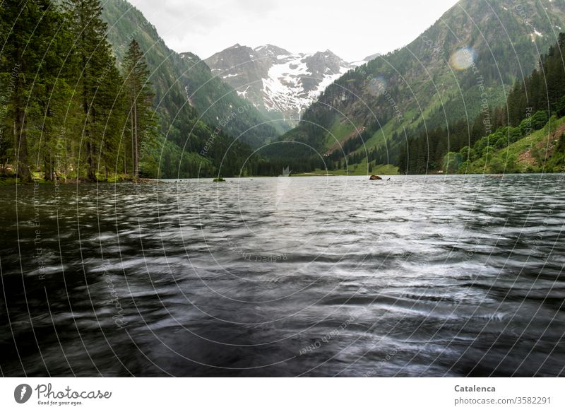 It rains on a summer day in the mountains, the mountain lake, meadow and forest gratefully accept it Alps Rain Weather Wet Summer Forest Lake Mountain Landscape