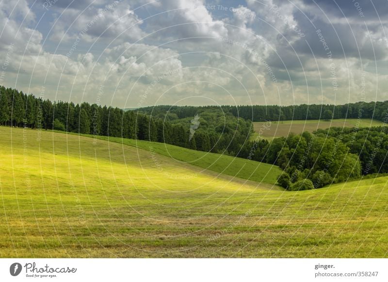 Light over the land Environment Nature Landscape Green Sunlight Lie Tree Forest Cloud formation Clouds Hover Valley Hill Pasture Smooth demarcated Border Field