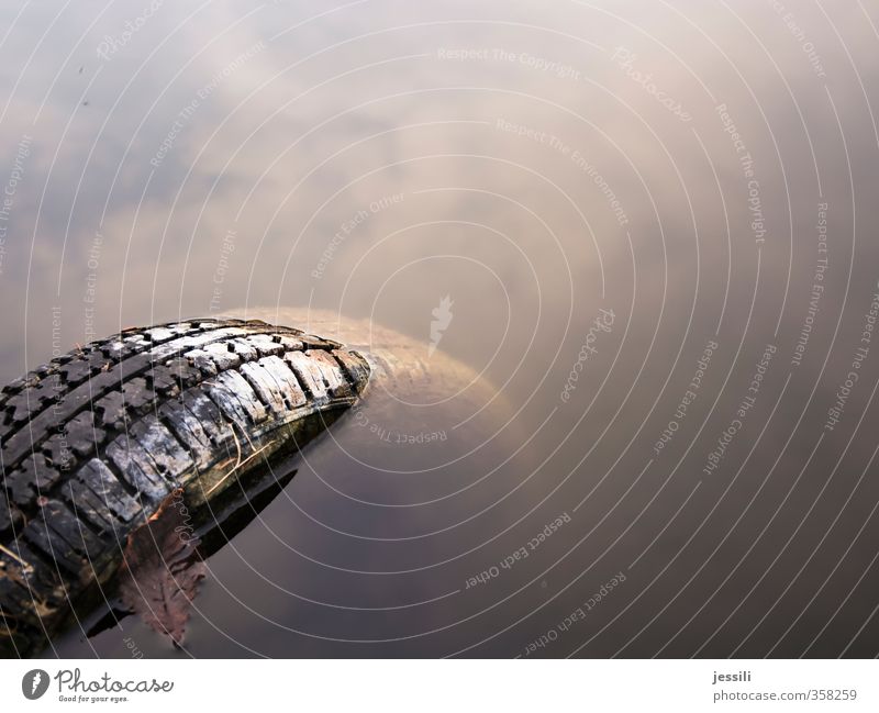 fair weather tyre Motoring Street Car Adventure Go under Flood High tide Development Reflection Tire tread Leaf Clouds Heaven Watercraft Colour photo