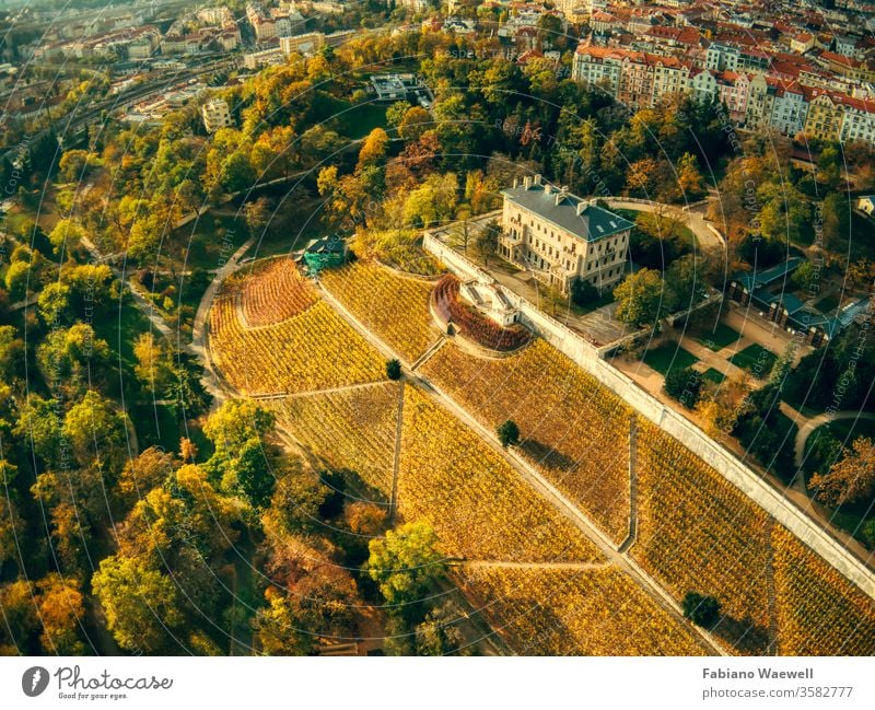 aerial view of Grebovka park in Prague prague green building grass historical europa sky modern nature calm quiet public tv tower tram peaceful winter traffic