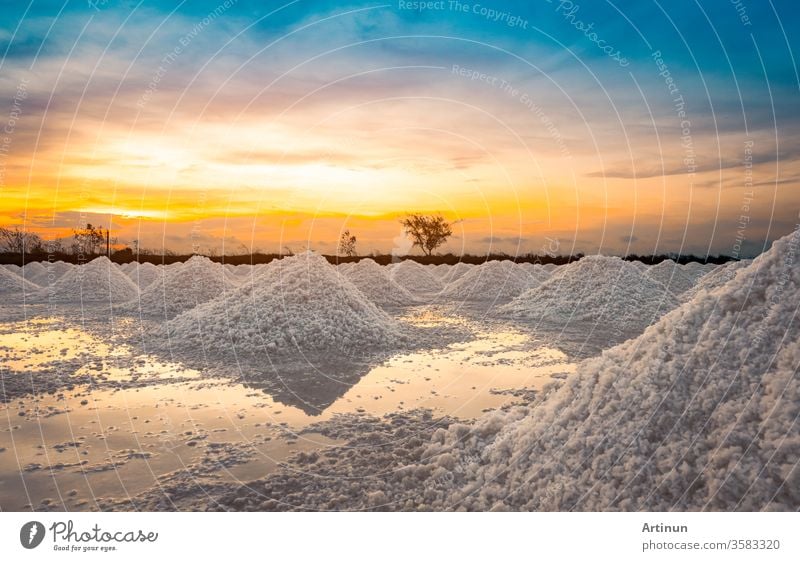 Salt farm in the morning with sunrise sky. Organic sea salt. Evaporation and crystallization of sea water. Raw material of salt industrial. Sodium Chloride. Solar evaporation system. Iodine salt.