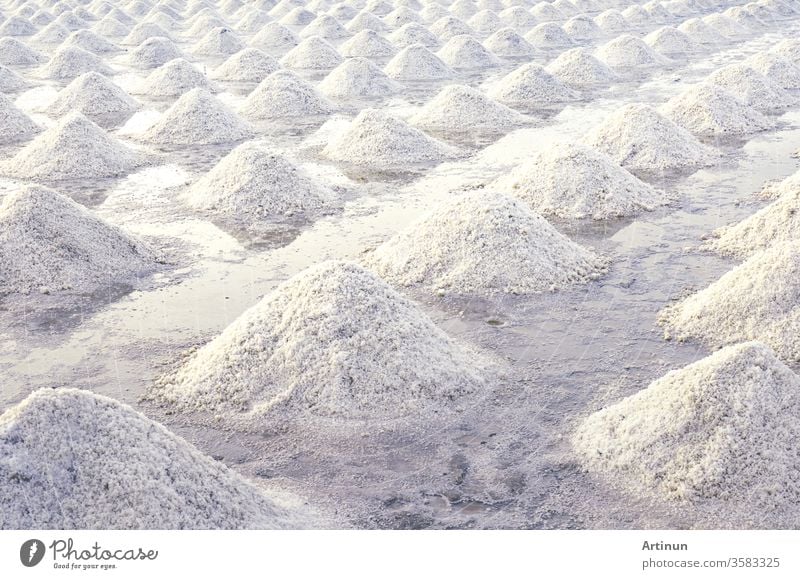 Brine salt farm at Samut Sakhon, Thailand. Organic sea salt. Evaporation and crystallization of sea water. Raw material of salt industrial. Sodium Chloride. Solar evaporation system. Iodine source.