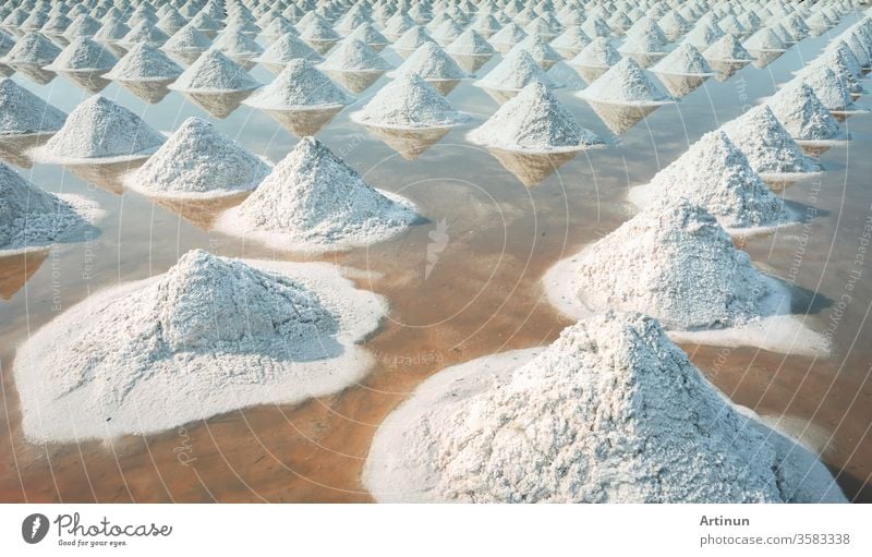 Brine salt farm at Samut Sakhon, Thailand. Organic sea salt. Evaporation and crystallization of sea water. Raw material of salt industrial. Sodium Chloride. Solar evaporation system. Iodine source.