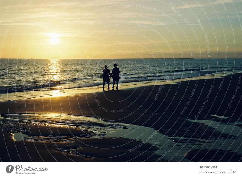 beach walk Ocean Sunset Sunrise Beach Calm Amrum Romance Relaxation Trust Coast North Sea Island Peaceful