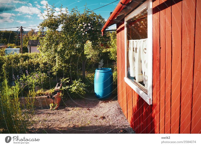 Bang effect Garden Sunlight Deserted Exterior shot Colour photo Rustic Bright Colours Red Idyll Blue Simple Old Illuminate wood Plastic Stone Garden plot