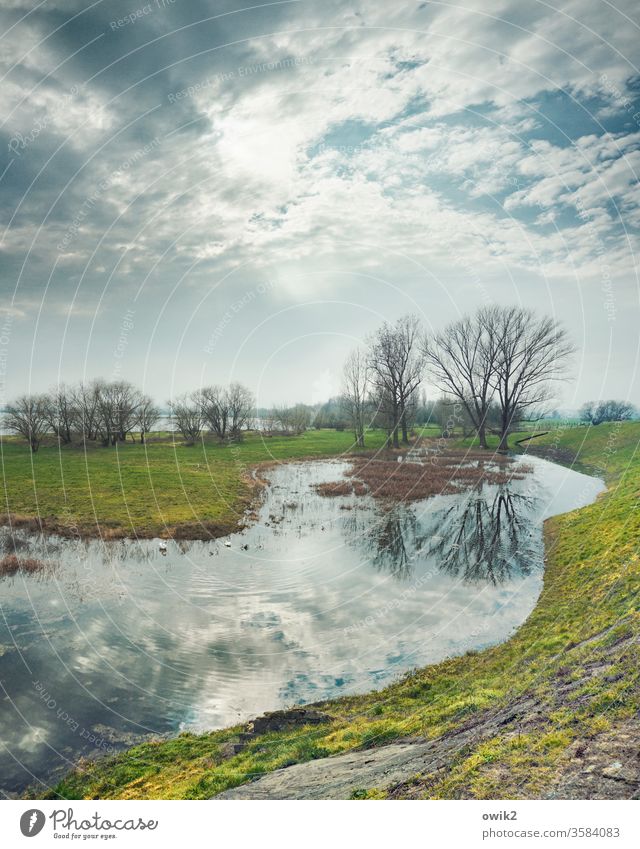 Elbe meadows Sky Clouds Sun Sunlight mühlberg Eastern Germany Mühlberg/Elbe Brandenburg River Forearm marshy Water Surface of water Reflection Water reflection